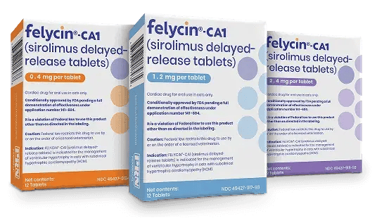 Felycin-CA1_Group_PS