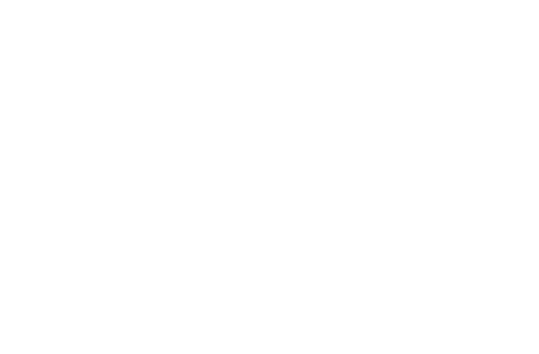 PetAg_Logo_White_R