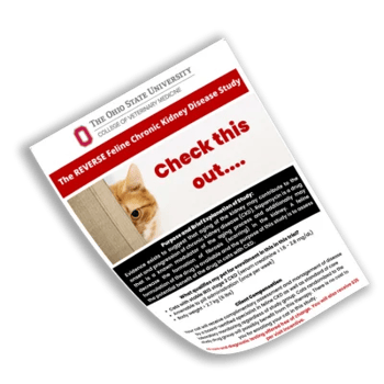The Ohio State University REVERSE Study Flyer Smaller Mockup The Ohio State University REVERSE Study Flyer Smaller Mockup