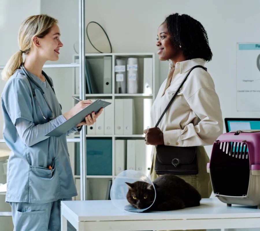 Vet taking information with pet owner and cat