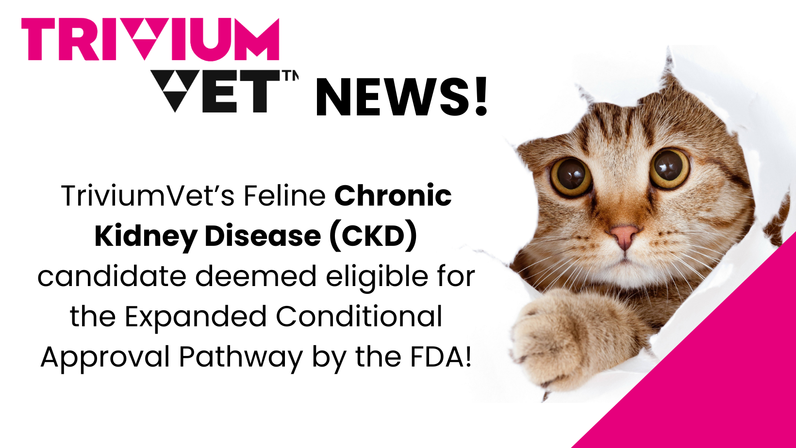 TriviumVet's Feline Chronic Kidney Disease (CKD) candidate deemed eligible for the Expanded Conditional Approval Pathway by the FDA! 