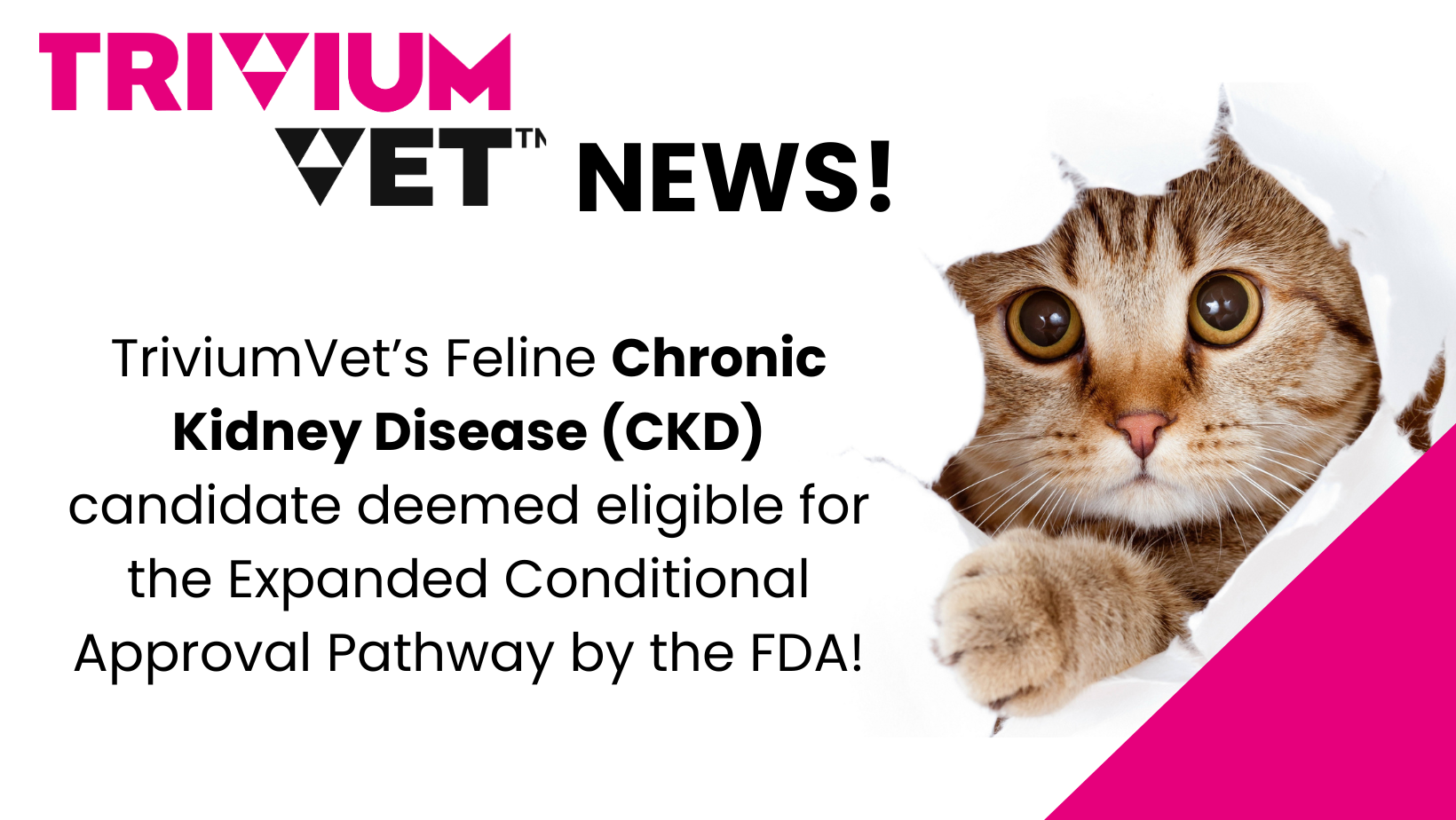 TriviumVet's Feline Chronic Kidney Disease (CKD) candidate deemed eligible for the Expanded Conditional Approval Pathway by the FDA!