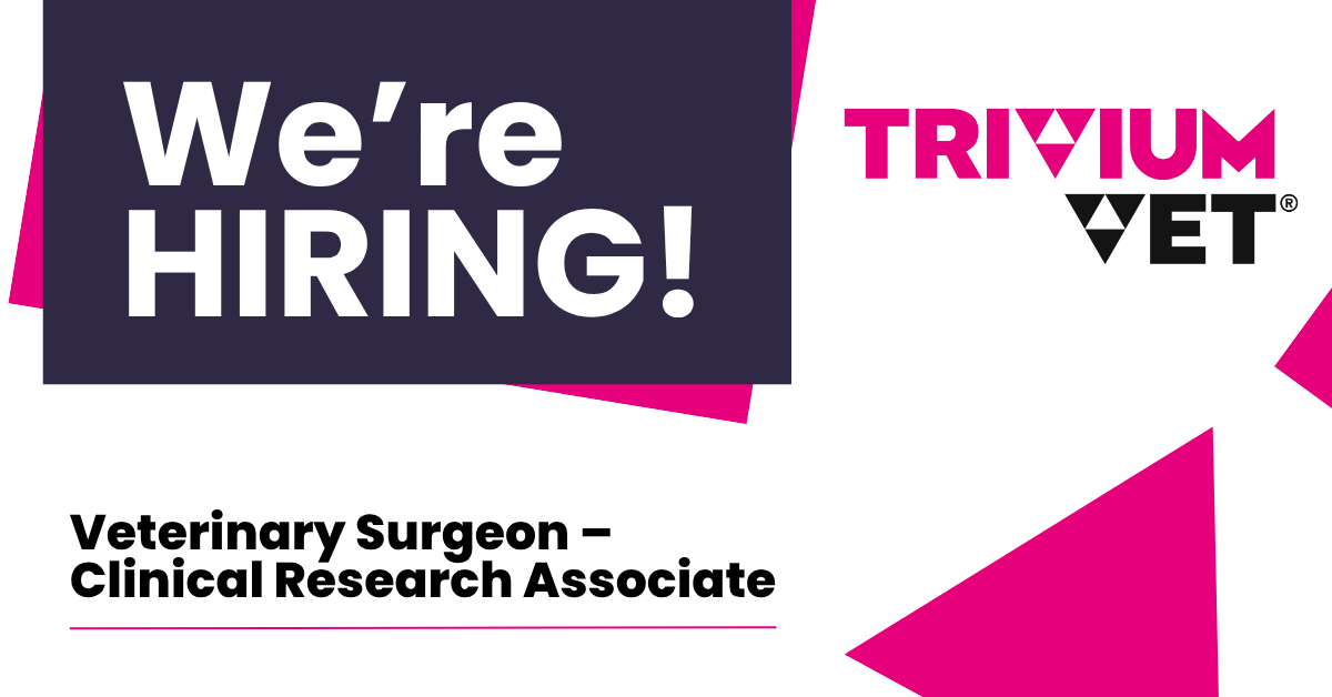 We're HIRING