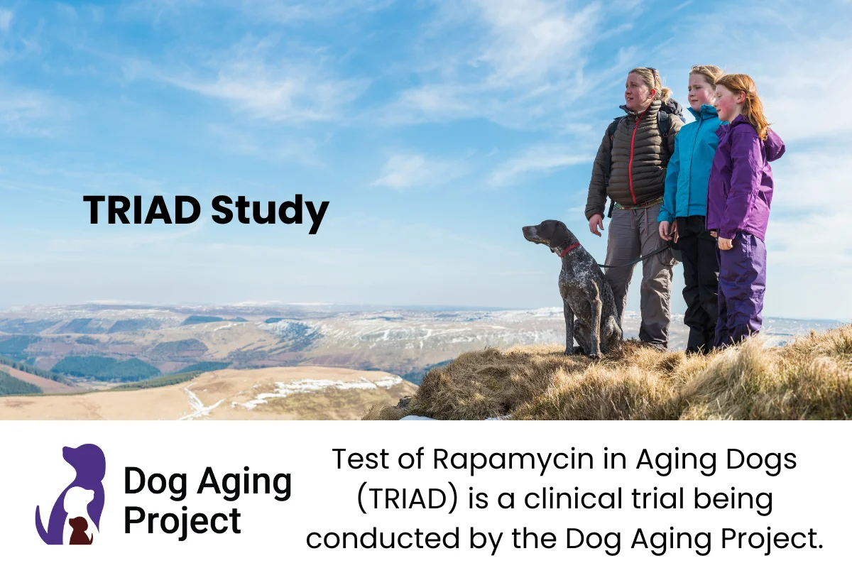 Dog Aging Project Graphic 2 Dog Aging Project Graphic 2