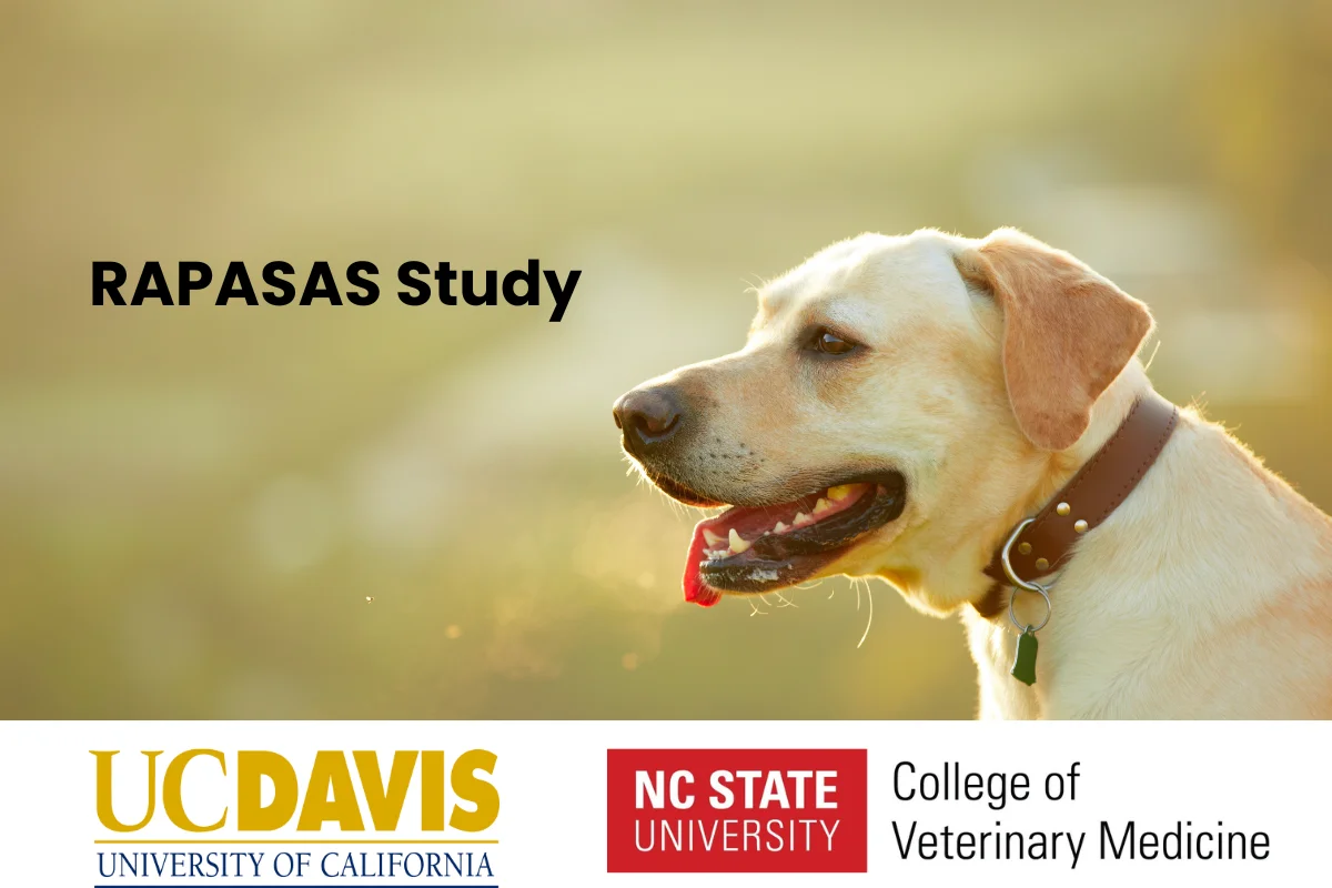 RAPASAS Study Graphic RAPASAS Study Graphic