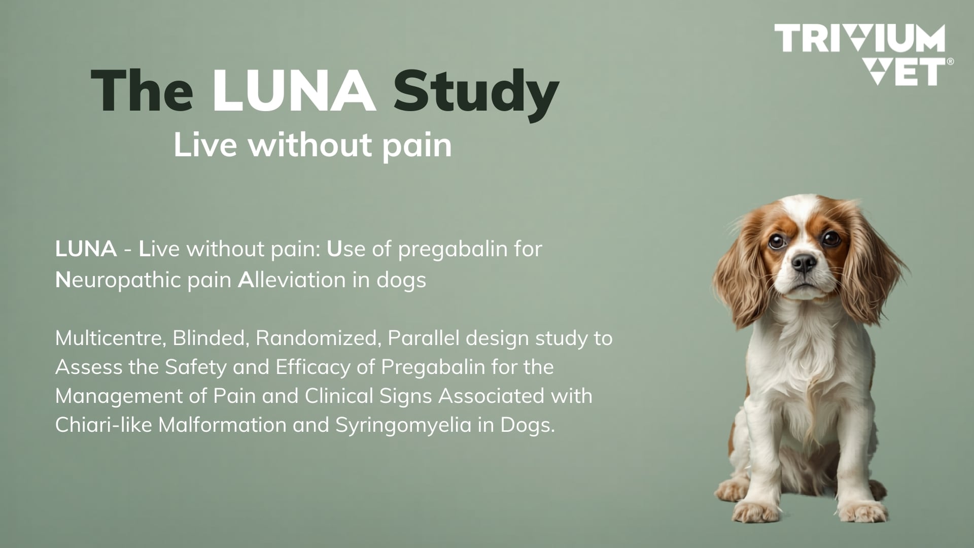 The LUNA Study Gemmas Slide The LUNA Study Gemmas Slide