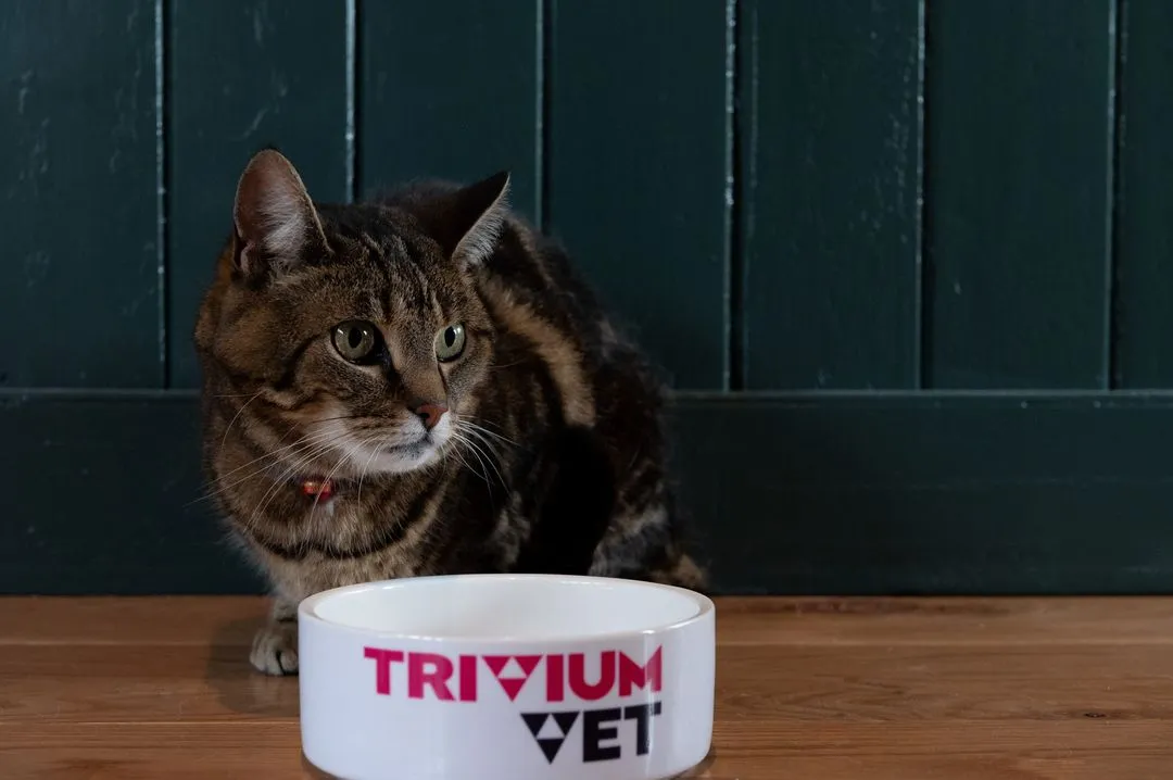 TriviumVet-Cat 