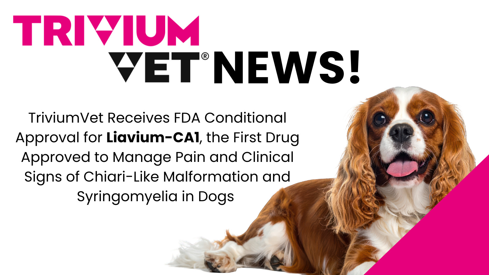 TriviumVet Receives FDA Conditional Approval for Liavium-CA1